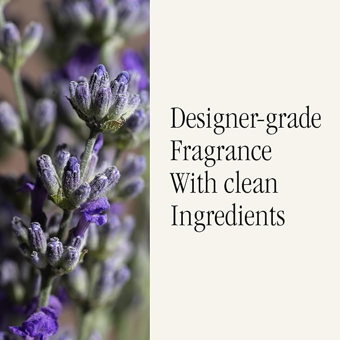 Pura & Brooklyn Candle Studio Home Scent Refill - Smart Home Air Diffuser - Up to 120-Hours of Luxury Fragrance per Vial - Clean & Safe Diffuser Fragrance - 2 Pack, Love Potion