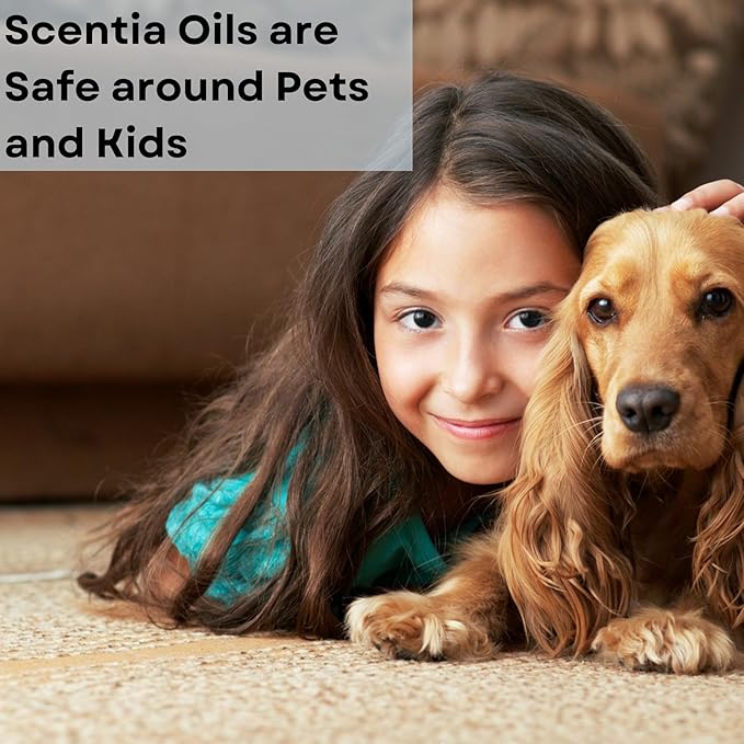 Hotel Diffuser Oil Inspired by The Nobu Hotel - 120 mL 4.06 fl oz - Essential Oil Blend Jasmine, Lilly, Sandalwood & Fresh Citrus for Aromatherapy Diffusers - Nobu Essence