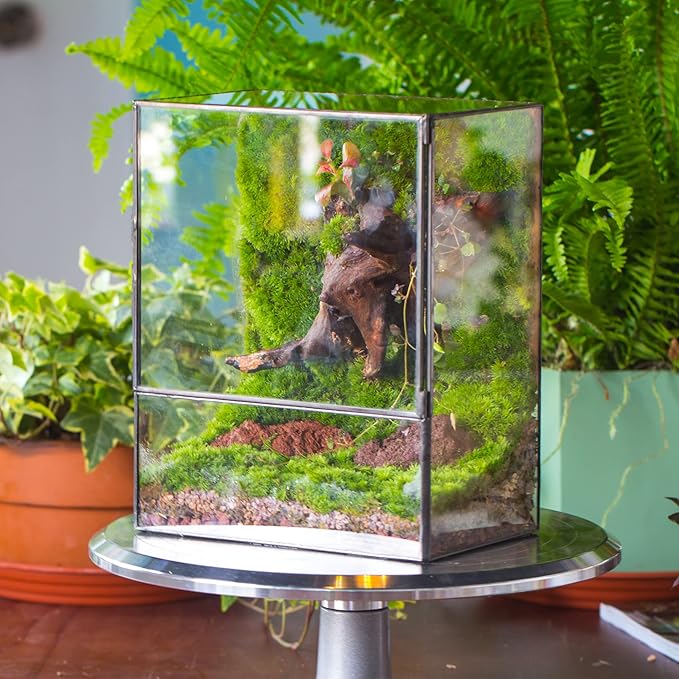 NCYP Close Glass Terrarium with Door - 7.8 x 5.1 x 9.8 Inches Geometric Landscape Clear Planter for Succulent Plants - Indoor Tabletop Centerpiece, Garden Decor (Terrarium Only)