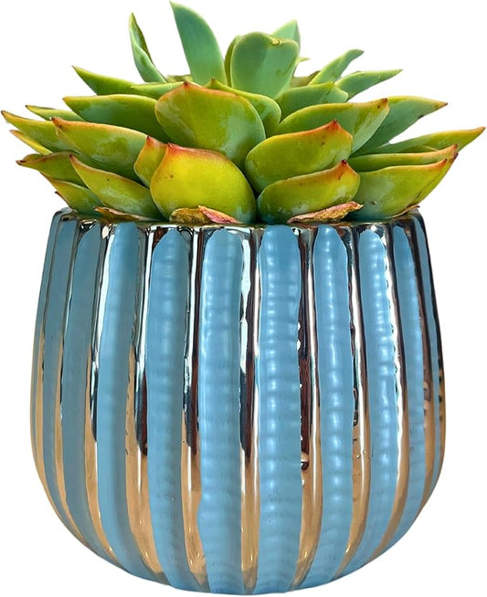Admired By Nature 4" Ceramic Flower Planter, Ceramic Pot Planter, Indoor Ceramic Bowl, Houseplant Ceramic Pot, Decorative Planter for Indoor Plant Succulent Plant Home Décor, Lightweight, Blue