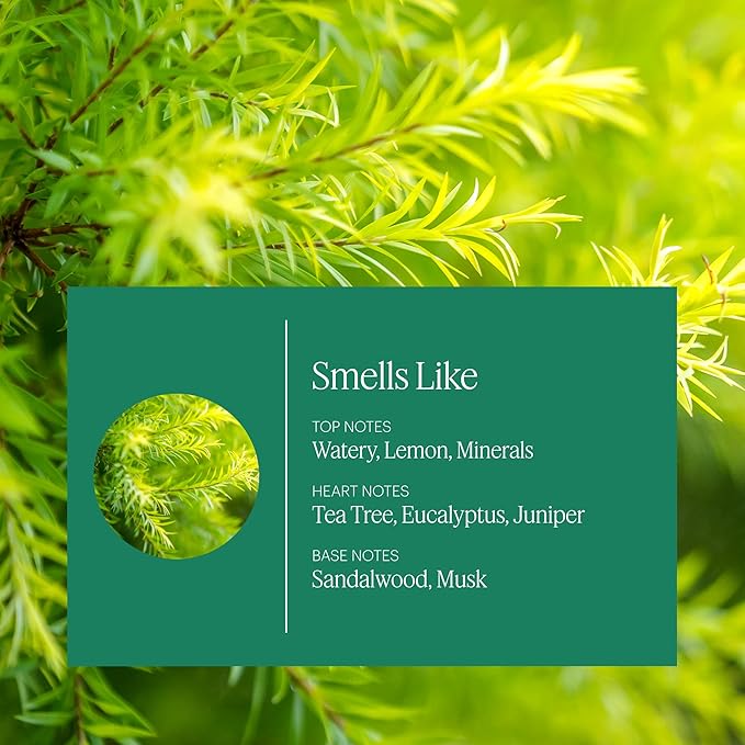 Aera Home Hygiene Tea Tree and Juniper - Essential Oil for Home - Calming Fragrance - Notes of Tea Tree, Juniper and Sage Essential Oils - Scent Refill-Works with The Aera Diffuser