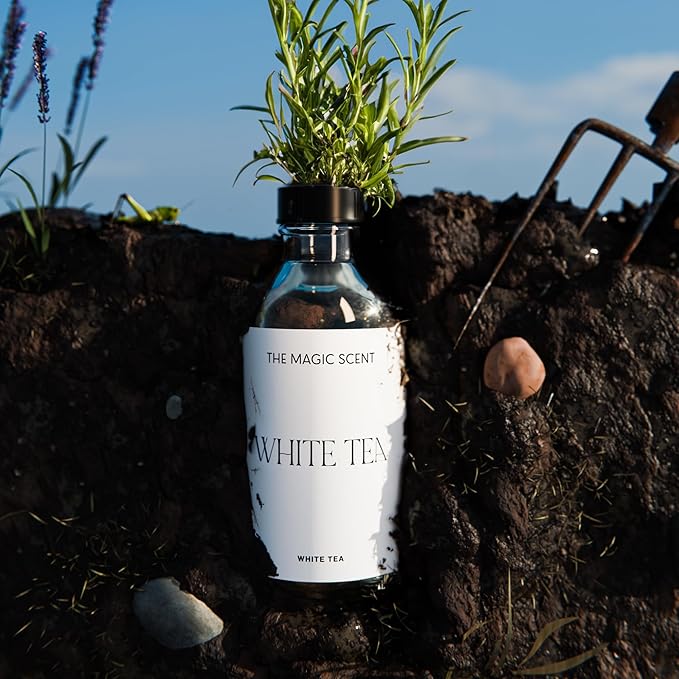 White Tea Oils for Diffuser - HVAC, Cold-Air, & Ultrasonic Diffuser Oil Inspired by The Tranquility of a Spa Resort - Essential Oils for Diffusers Aromatherapy - 4 fl oz, 120 mL