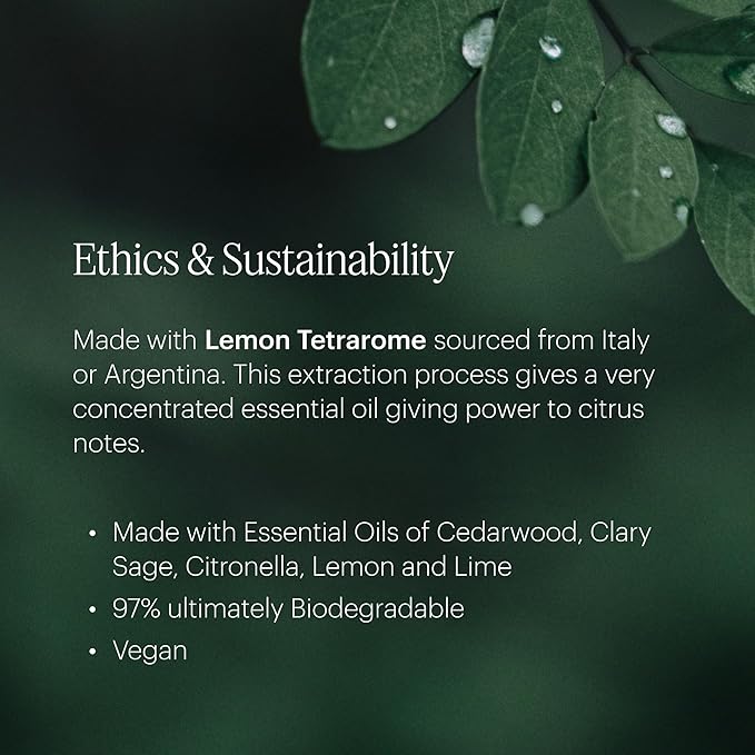 AERA Mini Citrus - Essential Oil for Home - Lemon Zest Fragrance - Notes of Lemon, Orange, Clary Sage and Cedar - Scent Refill - Capsule Size Works with Mini Diffuser