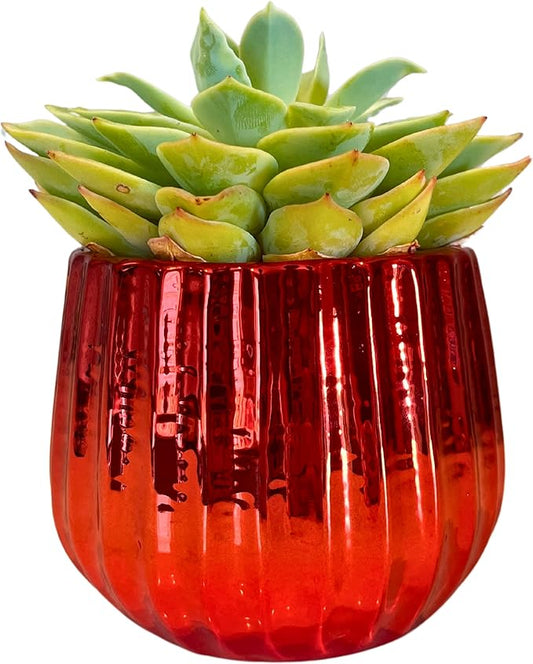 Admired by Nature 4" Ceramic Flower Planter, Ceramic Pot Planter, Indoor Ceramic Bowl, Houseplant Ceramic Pot, Decorative Planter for Indoor Plant Succulent Plant Home Décor, Lightweight, Red