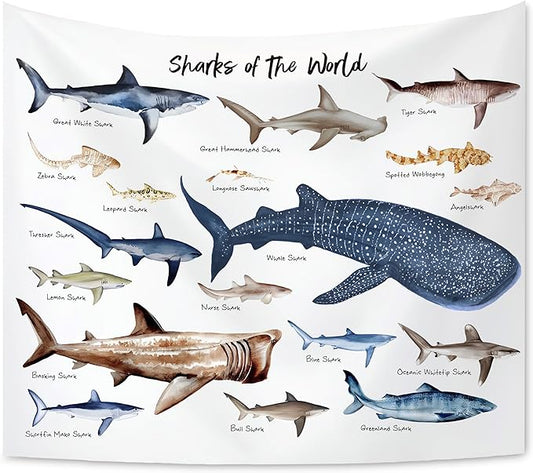 KAIOUS Shark Tapestry, Shark Educational Wall Hanging Tapestries for Kids Girls Boys Room Bedroom Dorm Classroom Nursery Decor 50x58 Inches