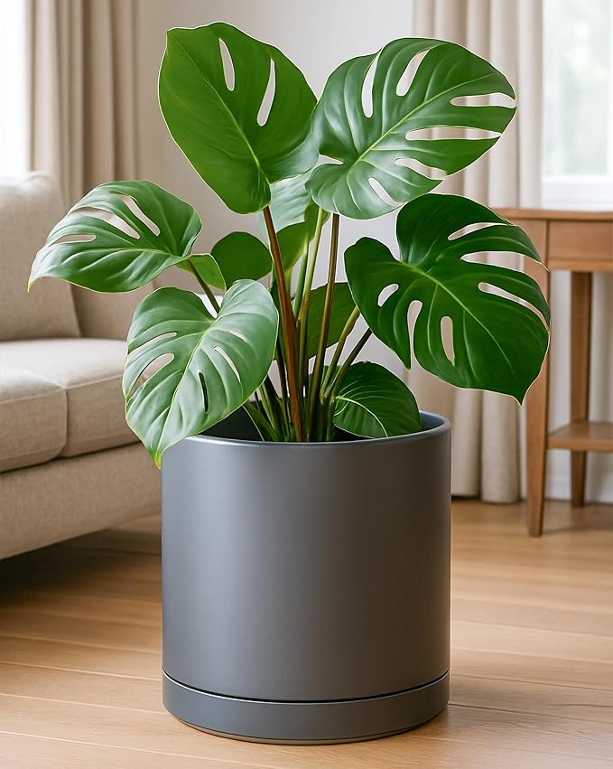 D'vine Dev 12 Inch Ceramic Planter Pot with Drainage Hole and Saucer, Indoor Cylinder Round Planter Pot, Speckled Grey, 94-O-F-3