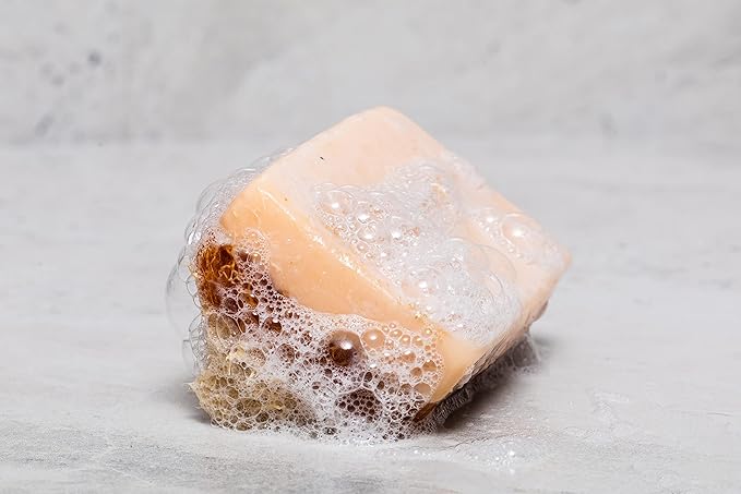 SABUN CO. Donkey Milk Soap with Honey - Natural Exfoliating Loofah Soap Bar - Nourishing, Hydrating, Moisturizing Handmade Soap for Face and Body - Soap with Loofah Inside [4.4 oz - 125 gr]