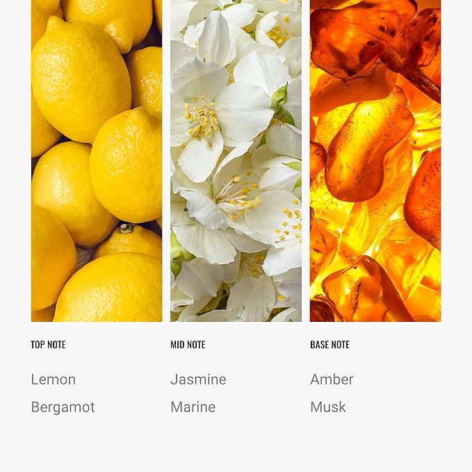 Hotel Collection Essential Scent Oil - Scent Includes Botanical Jasmine, Bergamot & Fresh Marine Notes - Aromatic Oils - Aromatherapy Fragrance for Home & Office - Cabana, 4.1 fl oz