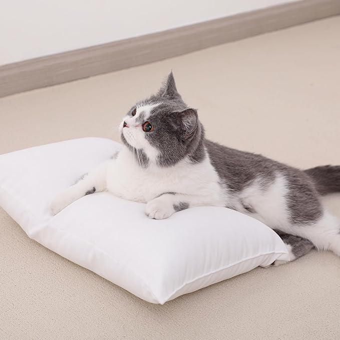 NTBAY Toddler Pillows, Down Alternative 13"x18" Pillows, Machine Washable - Soft and Breathable Travel Small Pillows for Sleeping, Ideal for Daycare, Crib, Cot, Dark Brown