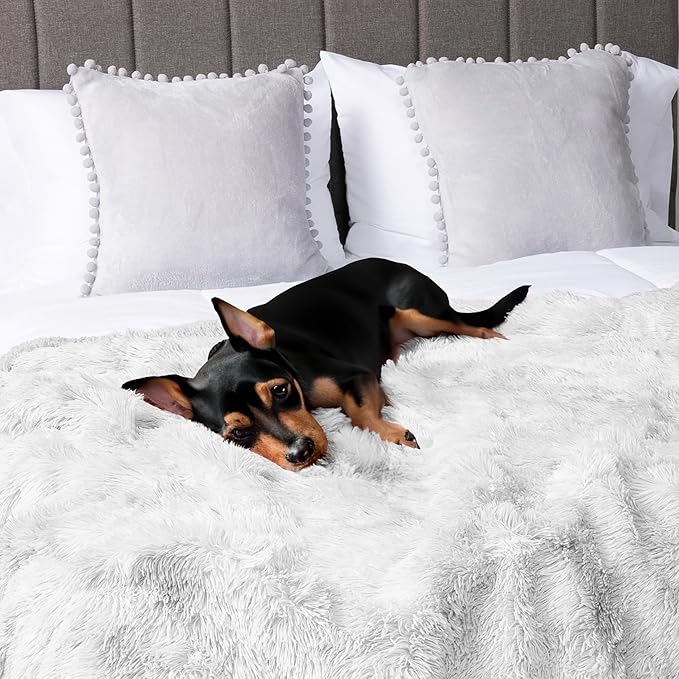 Pavilia White Fluffy Throw Blanket, Fuzzy Plush Warm Blanket for Couch, Bed, Sofa - Super Soft Thick Faux Fur Sherpa - 50x60