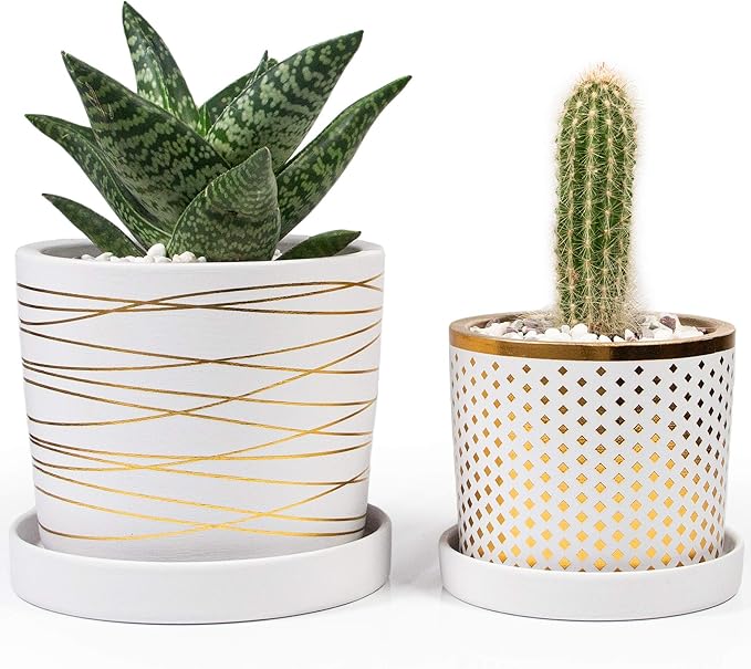 Willowy White and Metallic Gold Pot Bundle - 6 Inch and 4.5 Inch pots - Includes Saucers, Drainage Plugs, and Decorative Pebbles