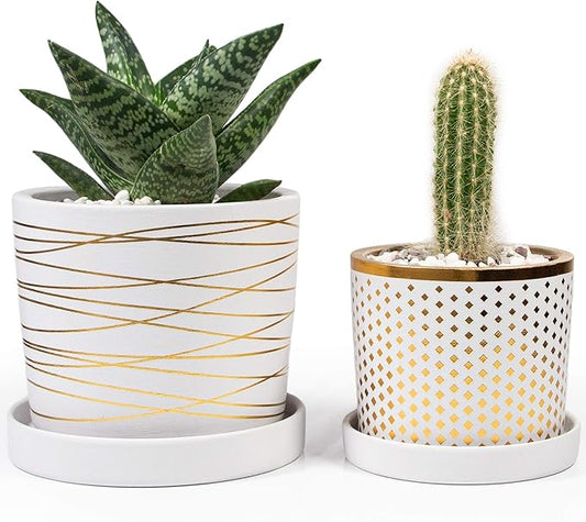 Willowy White and Metallic Gold Pot Bundle - 6 Inch and 4.5 Inch pots - Includes Saucers, Drainage Plugs, and Decorative Pebbles