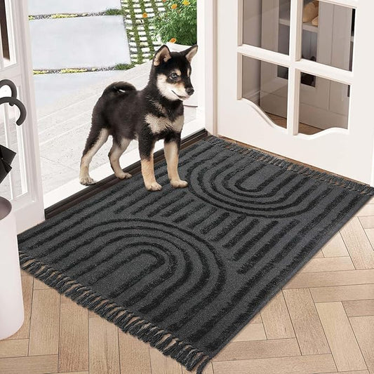 LEEVAN Indoor Door Mats for Entryway 3X5, Washable Rainbow Kitchen Rug, Woven Nursery Rug with Tassel, Boho Tufted Bedroom, Cute Dorm Mat for Classroom/Porch/Living, Dark Grey