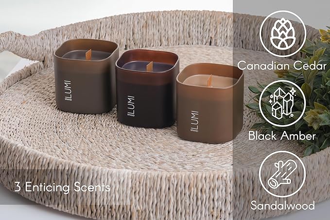 Set of 3 Scented Soy Candles Gift Set | Dusk to Dawn Collection | 3 Scented Candles - Canadian Cedar, Black Amber, and Sandalwood | Crackling Wood Wick | Clean Burn | 50+HR Burn Time, 9.8oz Each