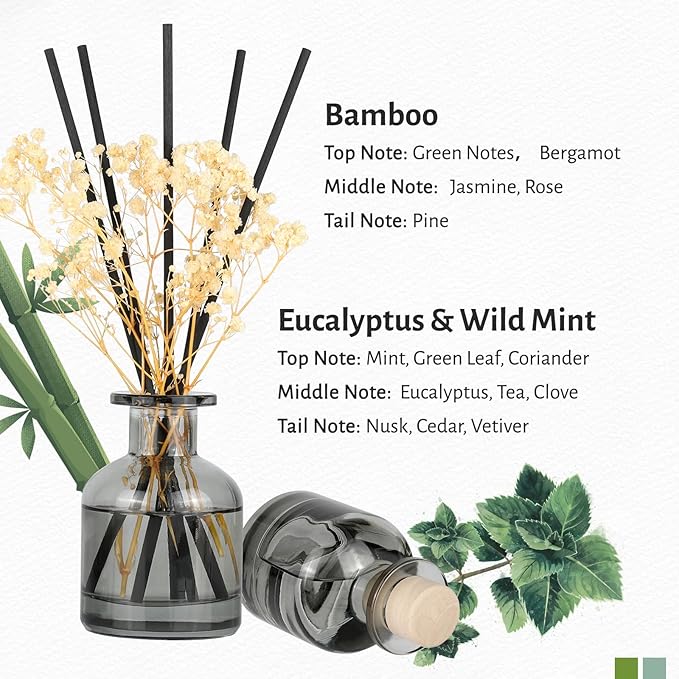 Brakula 2 Pack Reed Diffuser, Bamboo + Eucalyptus & Wild Mint (3.38 fl oz Each Pack), Home Fragrance with 12 Sticks, Shelf Decor, Reed diffusers for Home