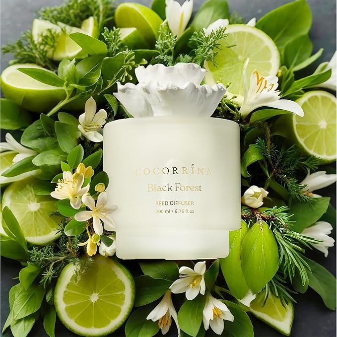 Cocorrina Gypsum Flower Reed Diffuser Set for Bathroom Décor – Black Forest Scent, 6.76 oz with Sticks & Oil – Home Fragrance for Bathroom & Living Space