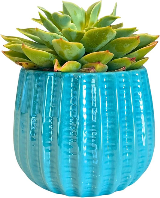 Admired By Nature 4" Ceramic Flower Planter, Ceramic Pot Planter, Indoor Ceramic Bowl, Houseplant Ceramic Pot, Decorative Planter for Indoor Plant Succulent Plant Home Décor, Lightweight, Teal