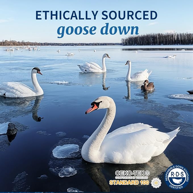 Canadian Luxury Goose Down Pillow King Size - 1050 Fill Power, 600 TC Cotton Shell- Ultra Soft and Comfort Sleep Pillows - Bed Pillows for Back, Stomach, Side Sleeper(White,King(Pack of 2))