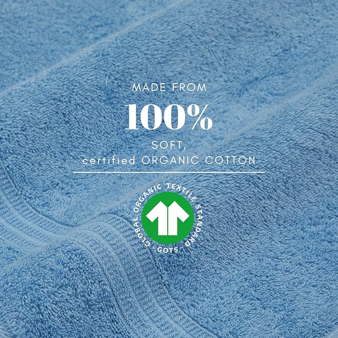 HOMELOVER 4 Piece Luxury Hand Towel Set - 100% Organic Cotton, 500 GSM, Hotel Quality, Highly Absorbent, Soft & Quick Drying Bathroom & Kitchen Towel for Face & Hand Washing (Sky Blue)