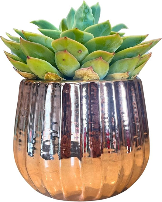 Admired By Nature 4" Ceramic Flower Planter, Ceramic Pot Planter, Indoor Ceramic Bowl, Houseplant Ceramic Pot, Decorative Planter for Indoor Plant Succulent Plant Home Décor, Lightweight, Rose Gold