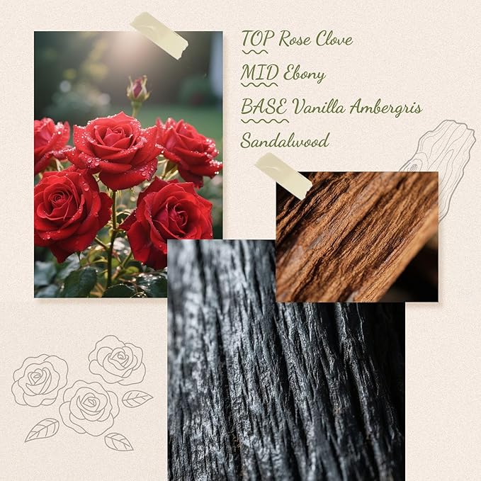 Reed Diffuser Set, 6 fl oz Ebony Rose Scent Diffuser with Sticks, Reed Diffusers for Home Office Decor, Home Fragrance Gift for Men & Women