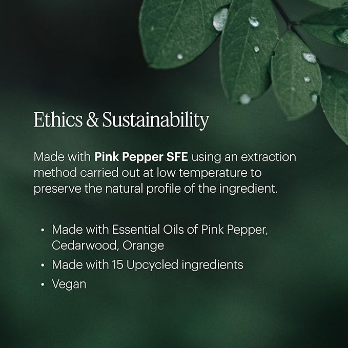 AERA Mini Curiosity - Essential Oil for Home - Pear and Redberries Fragrance - Notes of Magnolia, Lotus Flower and Citrus - Scent Refill - Capsule Size Works with Mini Diffuser