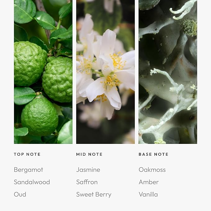 Aroma360 - Chandelier Fragrance Oil Blend | Hotel Inspired for Luxury Essential Oil Diffusers | Aromatherapy Scent Diffuser Oil | Bergamot, Woodsy Sandalwood, and Flirtatious Saffron - 120ML