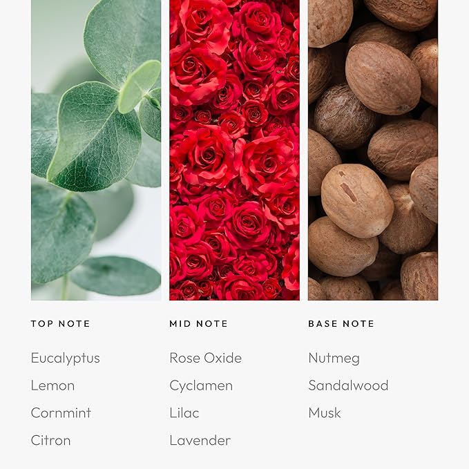 Across The Universe 500 mL