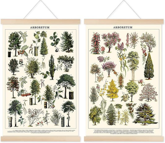 Chenkaiyang Vintage Tree Poster (2 Pcs), Green Tree Wall Art Prints, Rustic Retro Tree Chart, Living Room Decor
