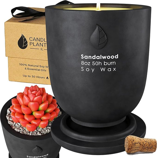 Matani Concrete Cement Candle Planter - Aromatherapy Black Sandalwood Scented Soy Candles - Dual Purpose Gift Jar Candles