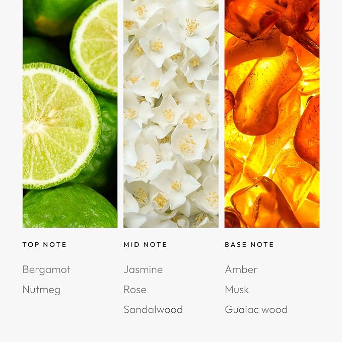 Aroma360 | Disney Reflection Fragrance Oil Blend | Disney Princess Mulan | Luxury Essential Diffuser Oil | Aromatherapy Scent Diffuser Oil | Bergamot, Nutmeg and Jasmine 1.7 fl oz 50mL