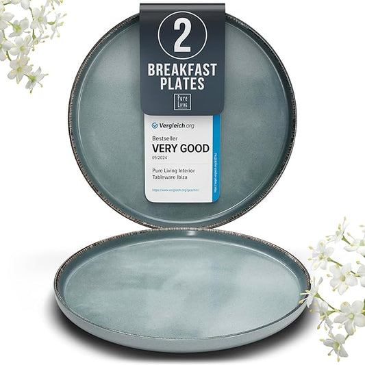 Stoneware Small Dinner Plates Set of 2, Modern Rustic -Style Stoneware , 7.9"" Ceramic Plates , Dishwasher, Microwave Safe Dinner Plates, Stoneware Plates, Kitchen Plates-Rustic Blue, Large