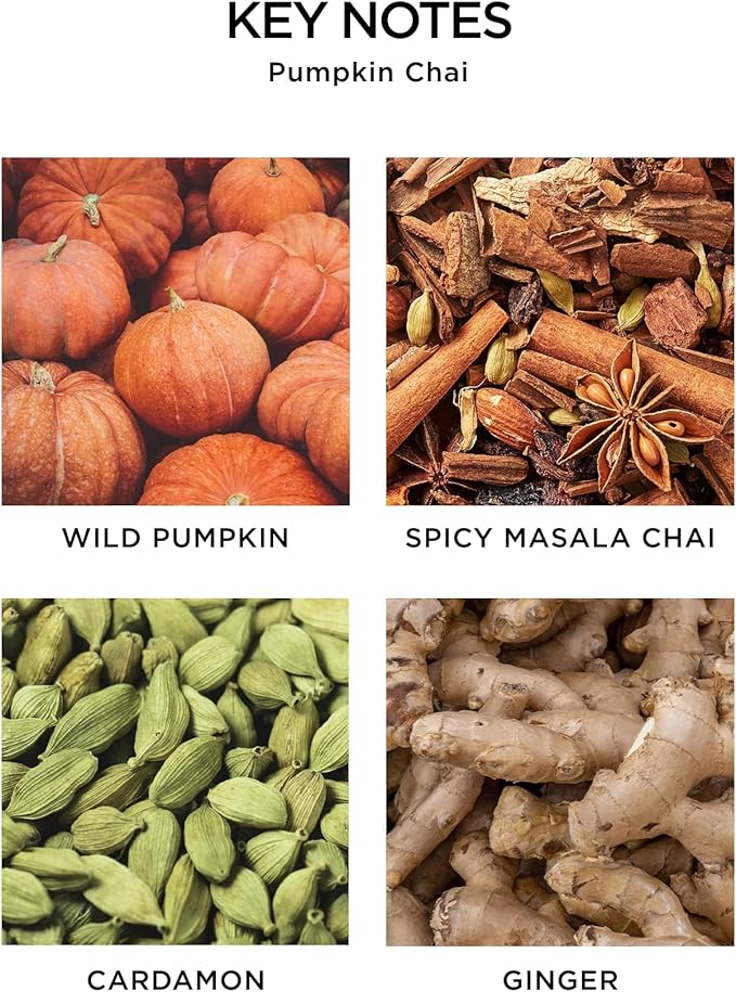 NEST New York Reed Diffuser, Pumpkin Chai - 5.9 fl oz - Fragrance for Up to 90 Days - Reusable, Refillable Glass Holder - Includes 8 All-Natural Reed Sticks - Flame Free