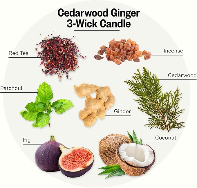 APOTHEKE Cedarwood Ginger Scented Candles for Home - Aromatherapy 3-Wick Jar Candle with Soy Wax Blend - Long-Lasting Scent with Natural Essential & Perfume-Grade Oils
