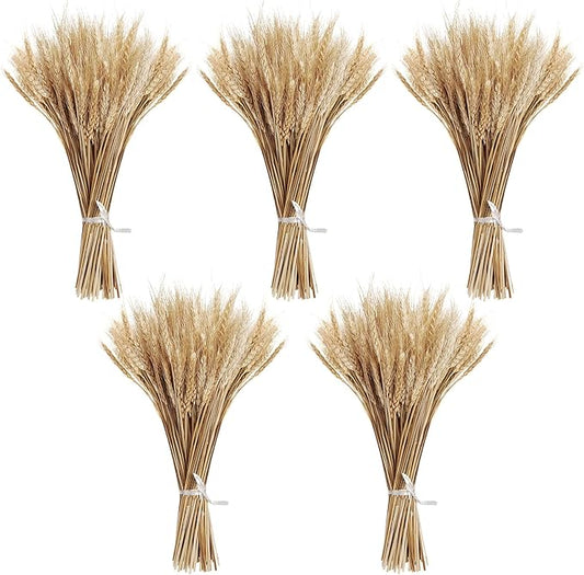 500 Pcs Dried Flower Dried Wheat Stalks Wheat Grass Decor Dried Flowers Arrangement for Home Table Wedding DIY Design Party Farmhouse Decor (16")
