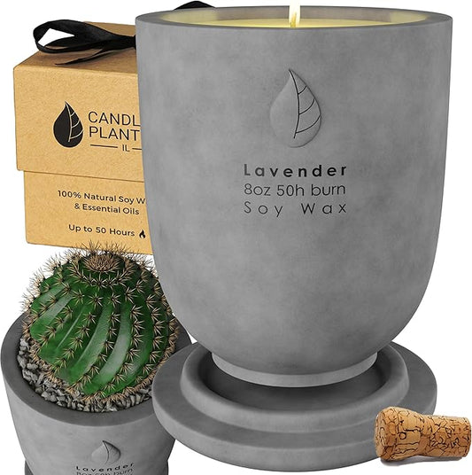 Matani Concrete Cement Candle Planter - Aromatherapy, Soy Candle & Dual Purpose Jar Candles, Strong Gift Candles - Grey Lavender