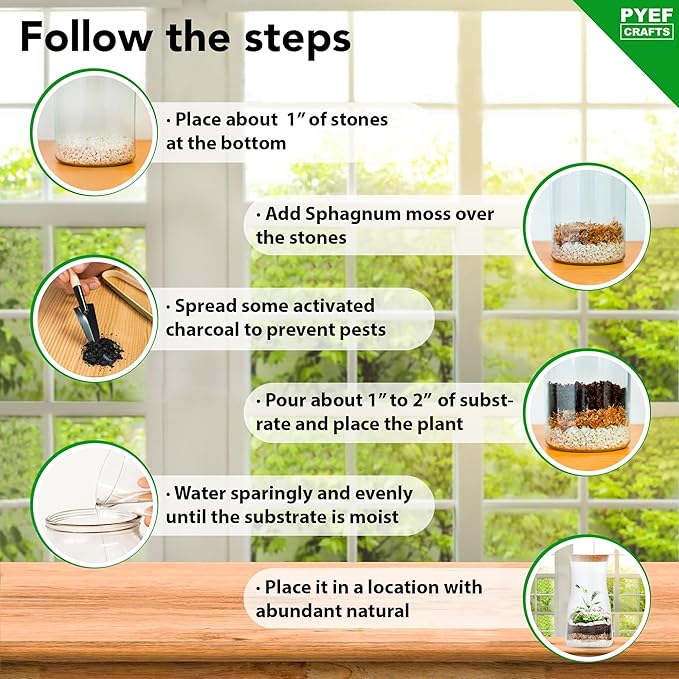 DIY Terrarium Kit for Adults – Build Your Own Self‑Sustaining Closed Ecosystem – 34 fl oz (1‑Liter) Glass Terrarium – Succulents, Air Plants, Fittonia, Fern – Plants Not Included