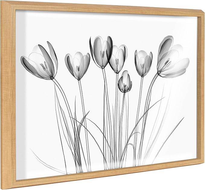 Kate and Laurel Blake Crocus X Ray Floral BW Framed Printed Glass Wall Art by The Creative Bunch Studio, 18x24 Natural, Decorative Modern Flower Art Print for Wall