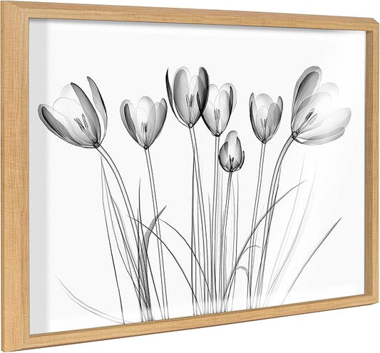 Kate and Laurel Blake Crocus X Ray Floral BW Framed Printed Glass Wall Art by The Creative Bunch Studio, 18x24 Natural, Decorative Modern Flower Art Print for Wall