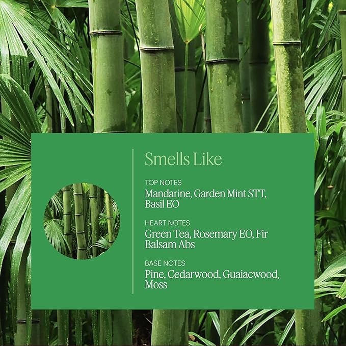 Aera Bamboo Jardin Home Fragrance Scent Refill - Notes of Lush Greens and Citrus - Works with the Aera Diffuser