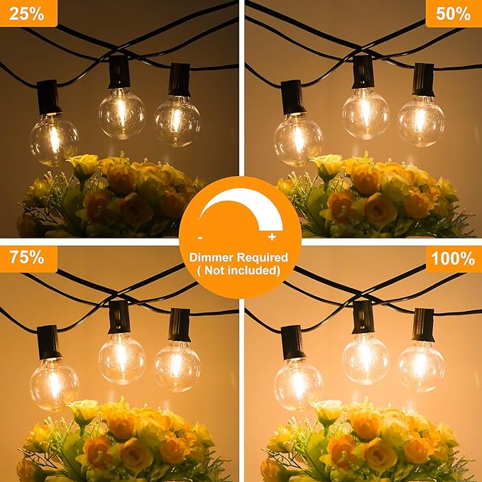60FT Outdoor G40 LED Globe String Lights Dimmable Waterproof Shatterproof Light Strings with 30 Bulbs Connectable Commercial Hanging Lights for Christmas Patio House Backyard Balcony Party