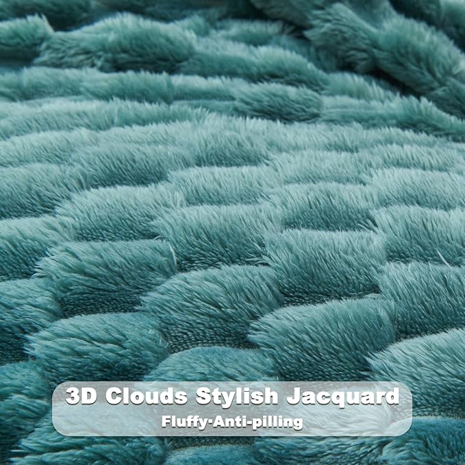 NEWCOSPLAY Super Soft Queen Blanket Light Teal Premium Silky Flannel Fleece 3D Clouds Stylish Jacquard Lightweight Bed Blanket All Season Use 350GSM (Light Teal, Queen(90"x90"))
