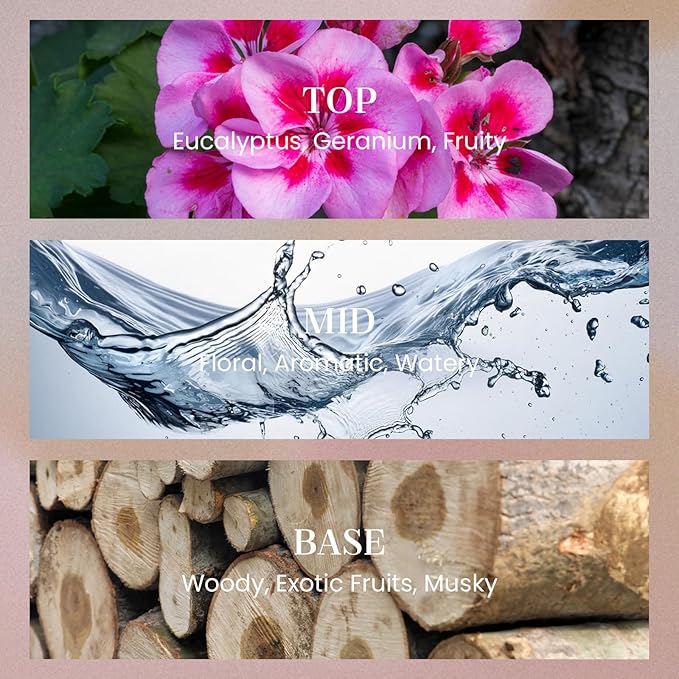 M&SENSE 8.4 oz Large Reed Diffuser for Home | Linen Breeze Scent Oil Diffuser with Sticks | Bedroom Bathroom Living Room Decor