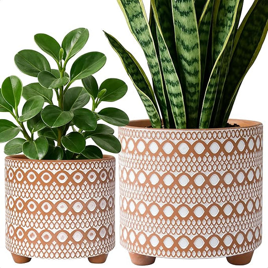 D'vine Dev Set of 2 Terracotta Planter Pots, 6 Inch & 8 Inch, Design Plants Pot with Drainage Hole, Desert Mirage, Terracotta/White, 34-953-B-1