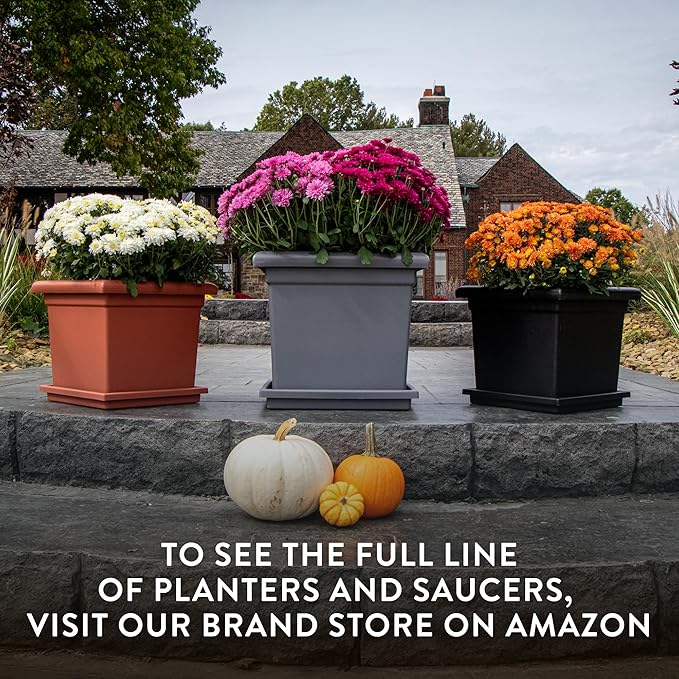 Accent Square Planter - The HC Companies 15.5-Inch Large Square Flower Box Planter for Indoor & Outdoor Flowers/Plants, Pairs w/ 15.5" Clay Accent Saucer SRO15500E35 Clay (ROS15500E35)