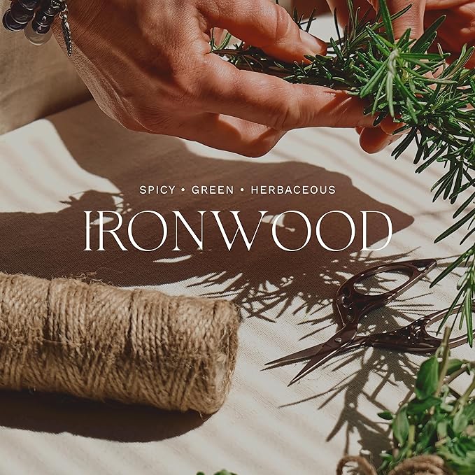 Antica Farmacista Home Ambiance Diffuser, Iron Wood, 3.4 Fl Oz