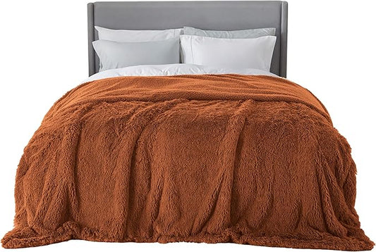 Bedsure Fluffy Burnt Orange King Size Blanket for Bed, Thick Soft Sherpa Faux Fur Fleece Bedding Fuzzy Plush Winter Warm Heavy Oversize Big Large King Blanket, Cozy Orange Gifts for Men Women, 108x90