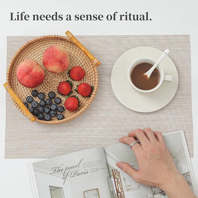 Leetaltree Beige White Placemats Set of 6 - Heat Resistant Non-Slip Place mats for Dining Table, Washable Durable PVC Vinyl Woven Table Mats（Beige White, 6）