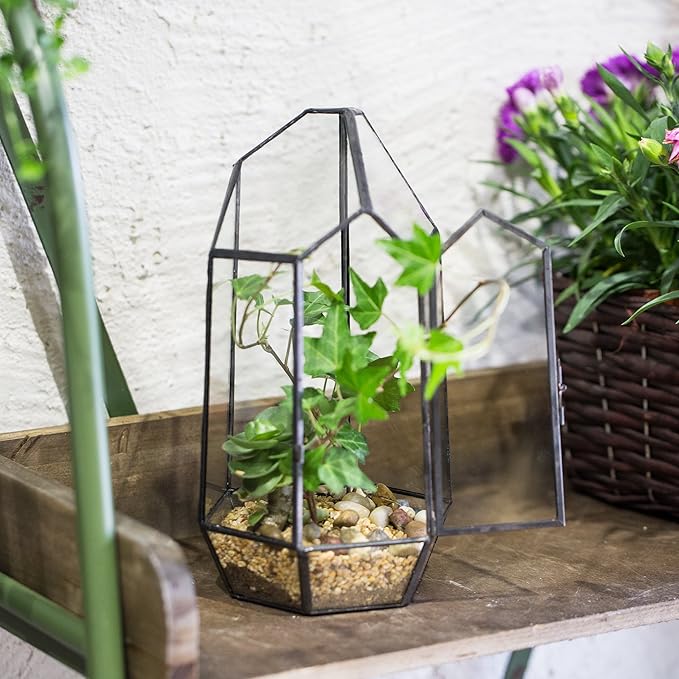 NCYP Small 5.1" x 5.1" x 8.66" Irregular Geometric Glass Terrarium Planter with Door - Home Tabletop Display Container Pot for Succulents, Cacti - Indoor Clear Decor, Black (No Plants)