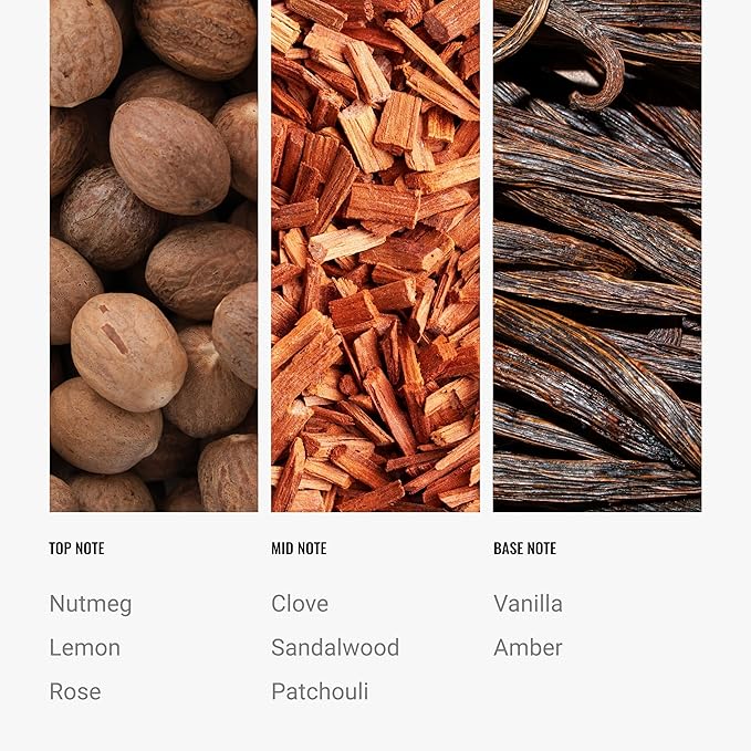 Aroma360 Hotel Collection Diffuser Oil-Midnight in Paris-Aromatherapy Essential Fragrance Oil-Luxury Hotel Inspired-Lemon, Bergamot, Jasmine& Amber-120ML 4.1 Fl oz